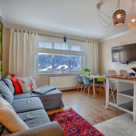 Apartament Zielona Mila Apartment Ustrzyki Dolne Bagian luar foto